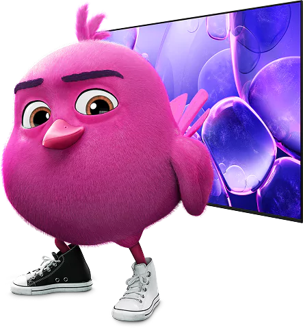 kuře před televizí